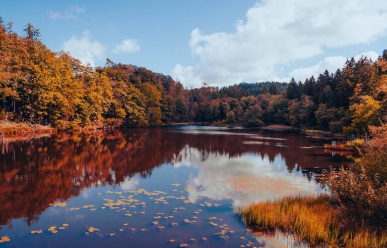 Autumn Is Here