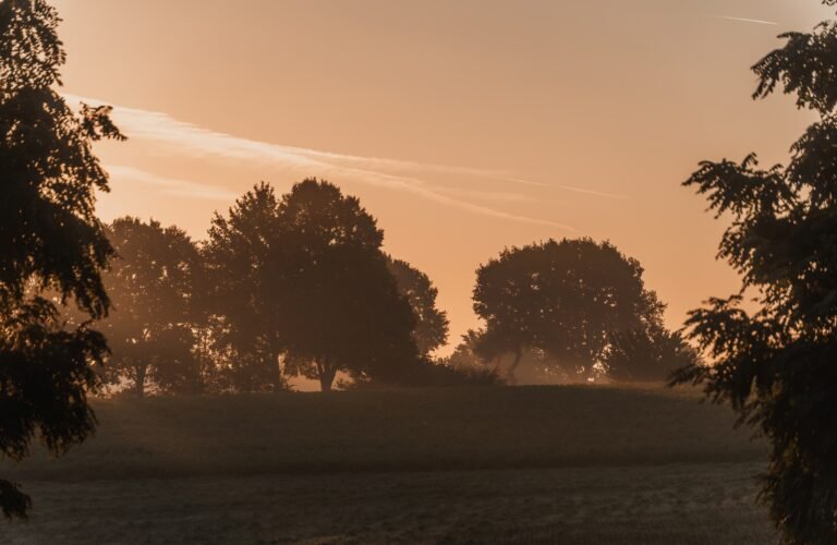 Danikerbos Sunrise