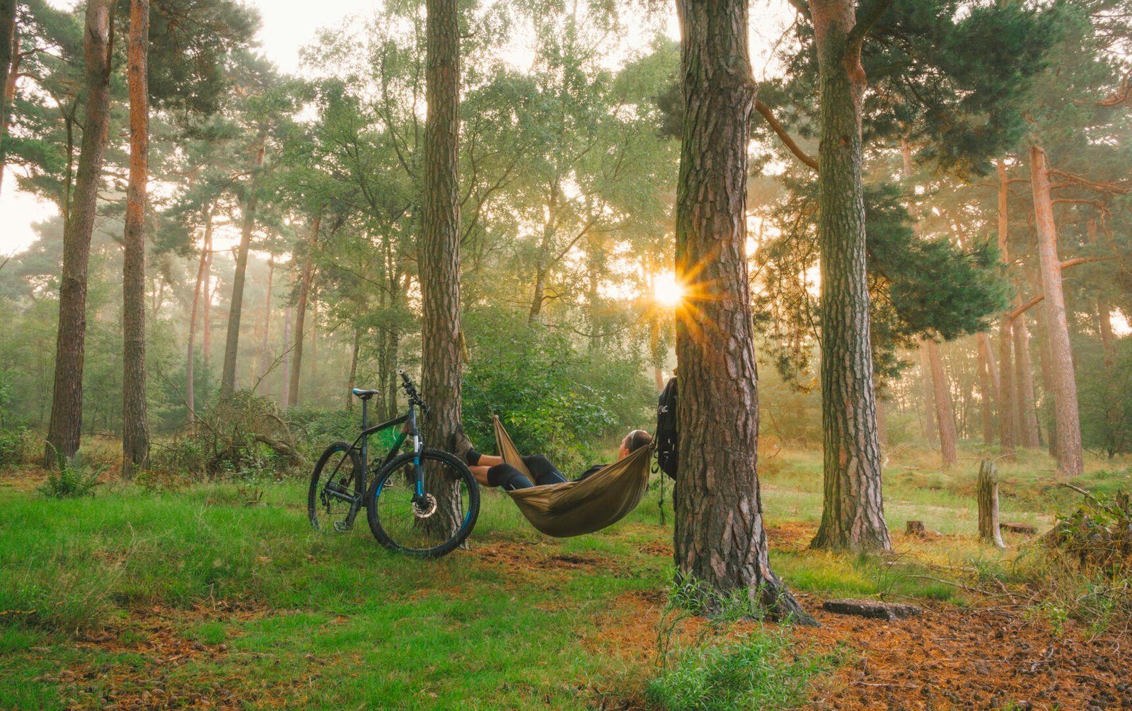 Morning Bliss