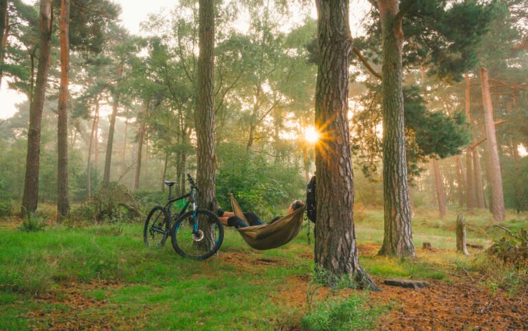 Morning Bliss