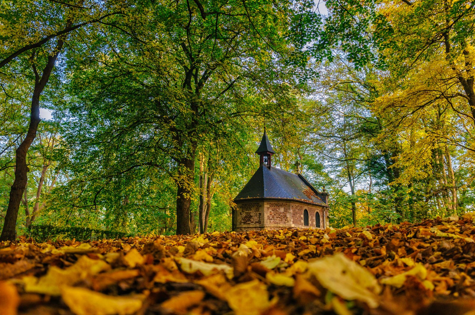 61 Sint Rosa Chapel Autumn