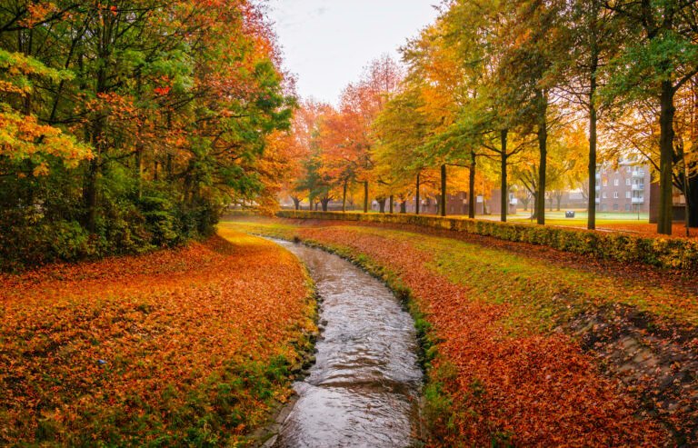 74 Late Autumn Sittard