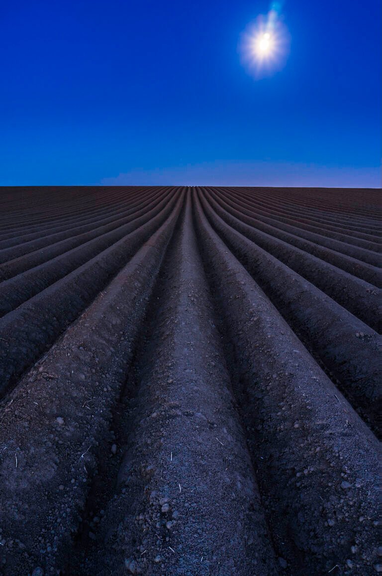 86 Field At Night - Kollenberg