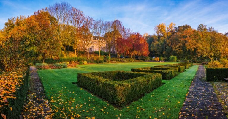 Watersley Sittard Autumn