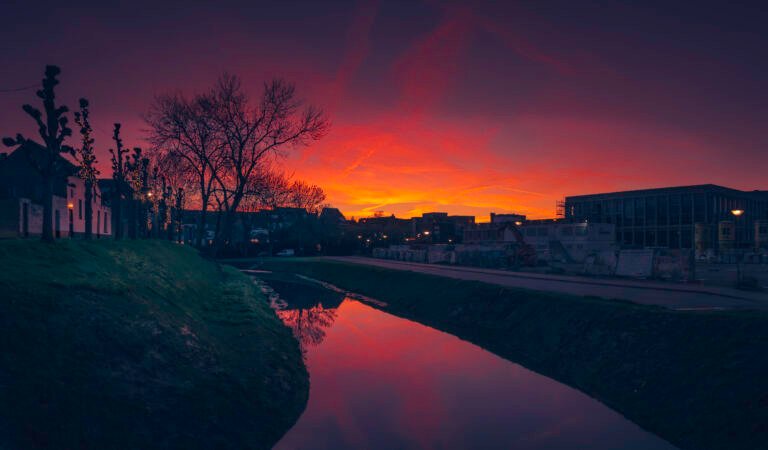 The Sky Just Exploded