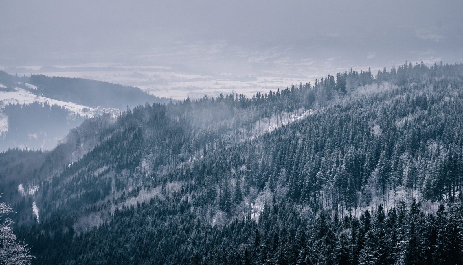 View From A Hike To Skalka