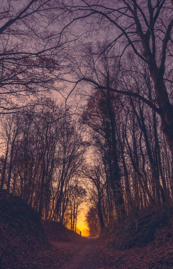 118 Morning Walk Sittard, Kollenberg