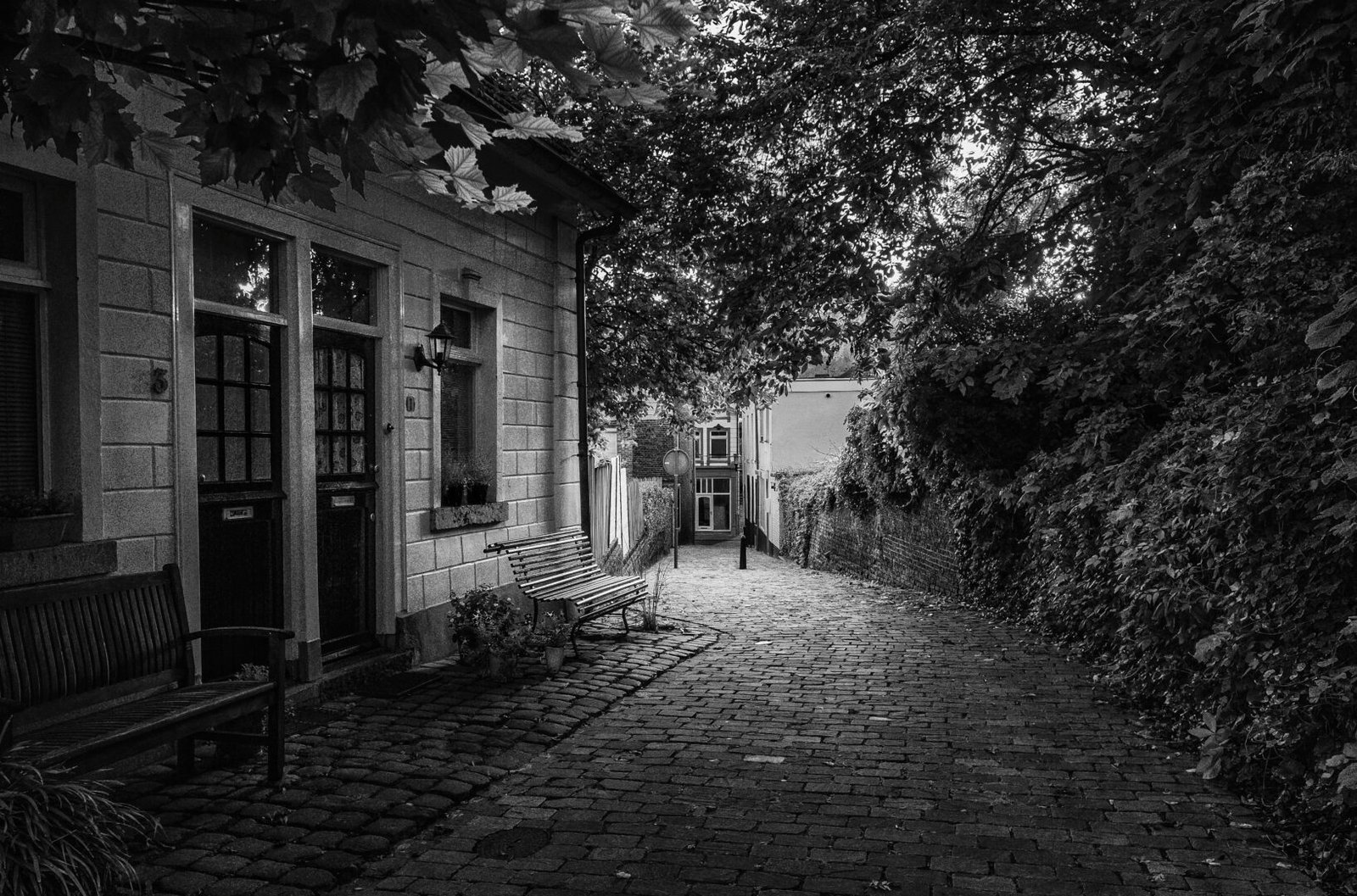 Morning Walk Sittard