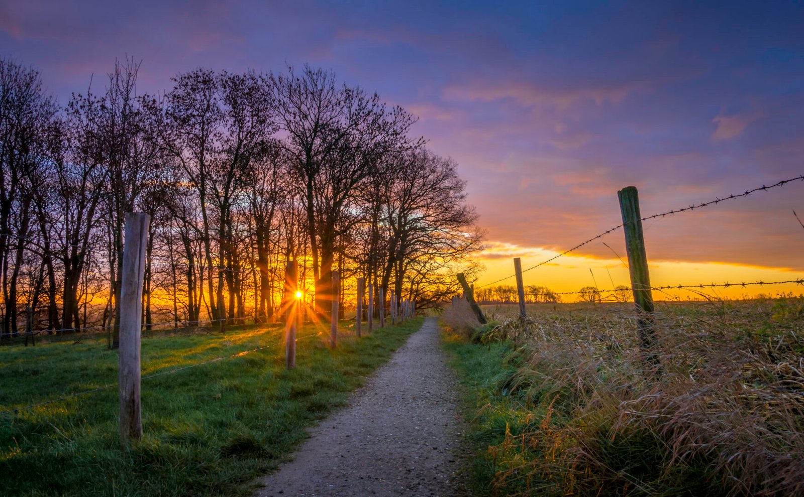 141 Kollenberg Chasing Light