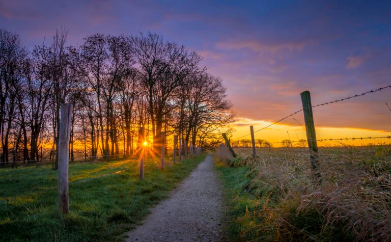 141 Kollenberg Chasing Light