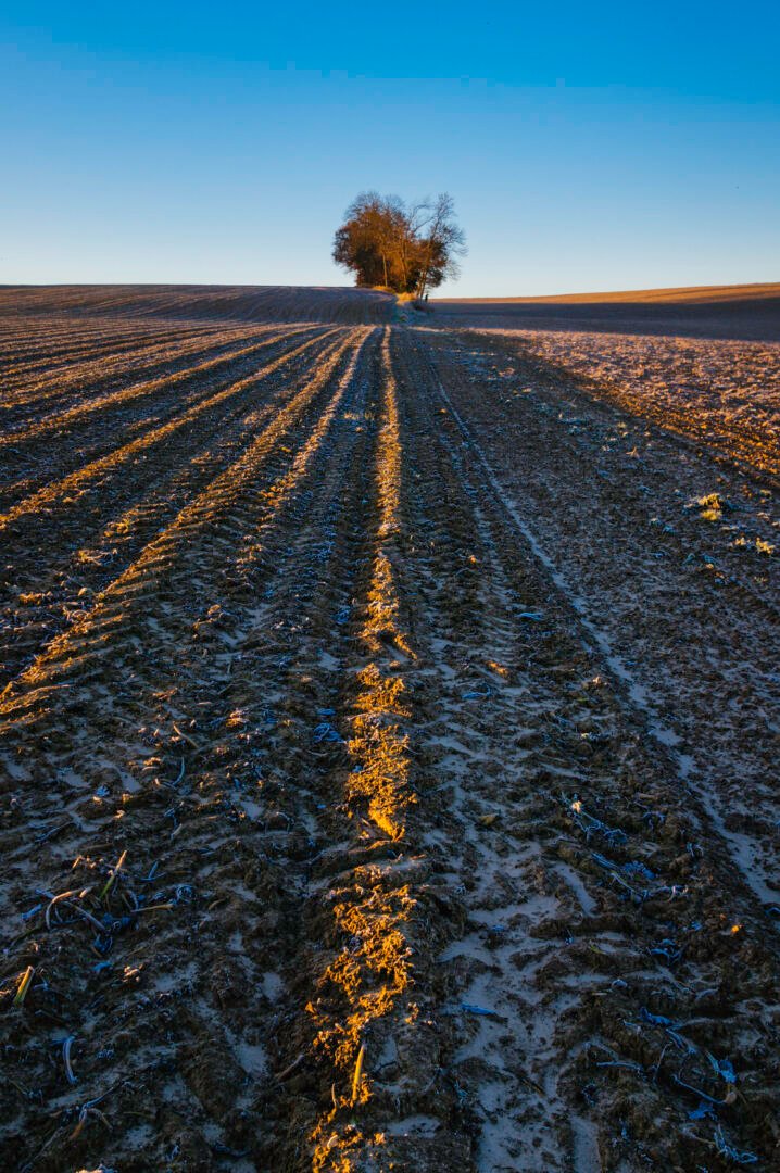 147 Morning On The Kollenberg