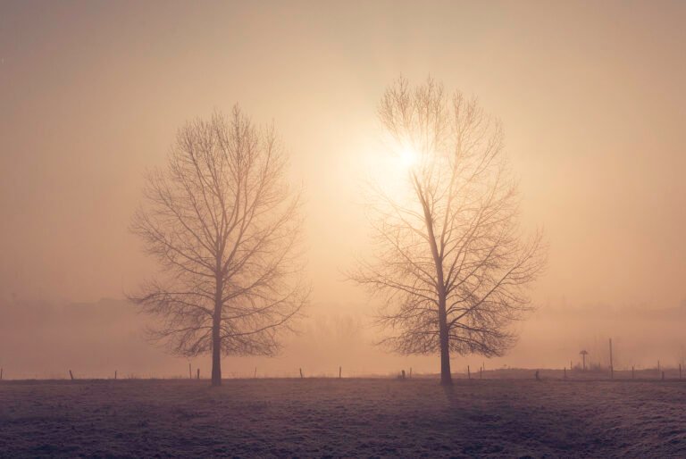 149 Foggy Morning Sunrise