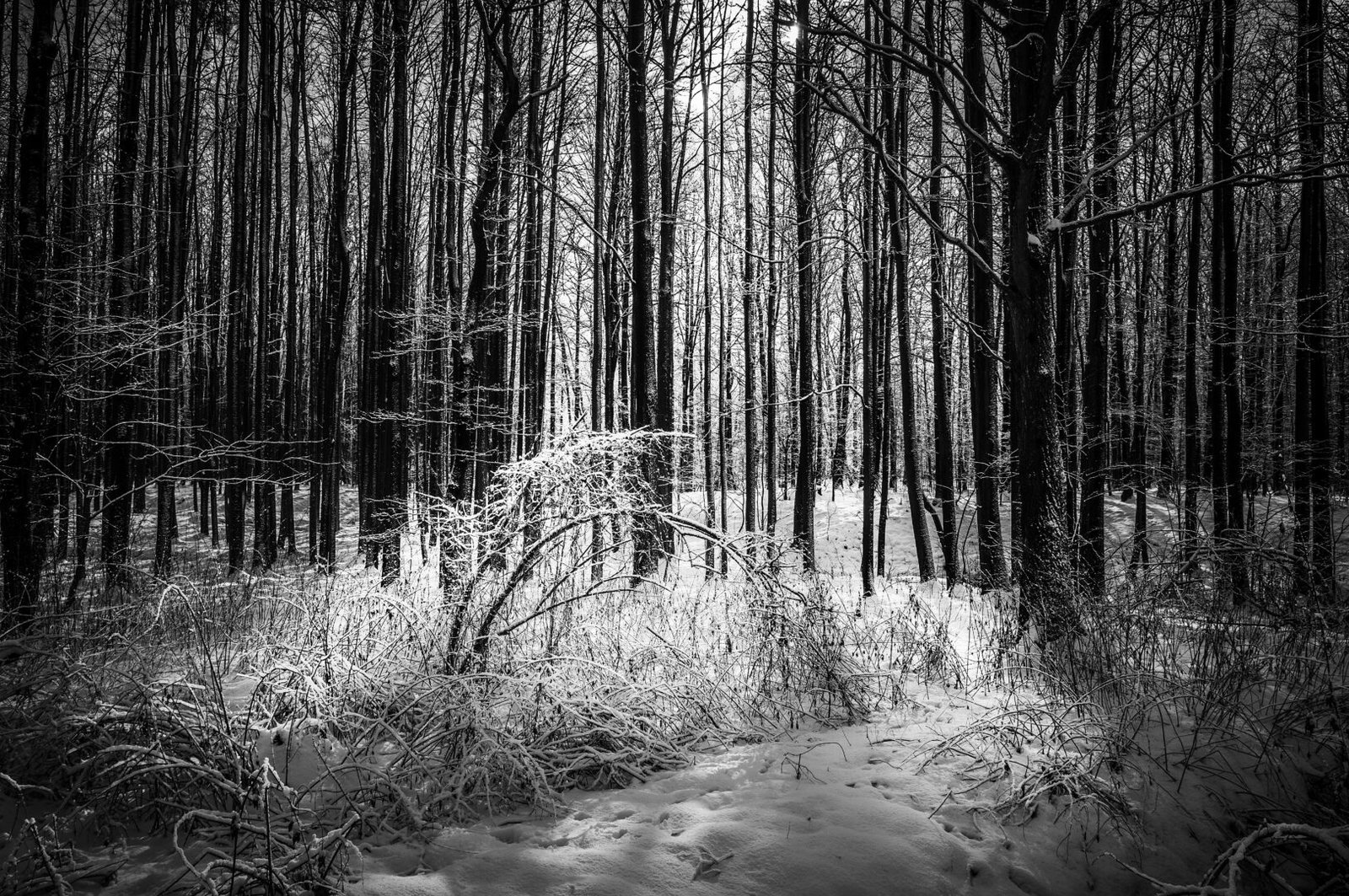 152 Black And White Testing New Lightroom Preset