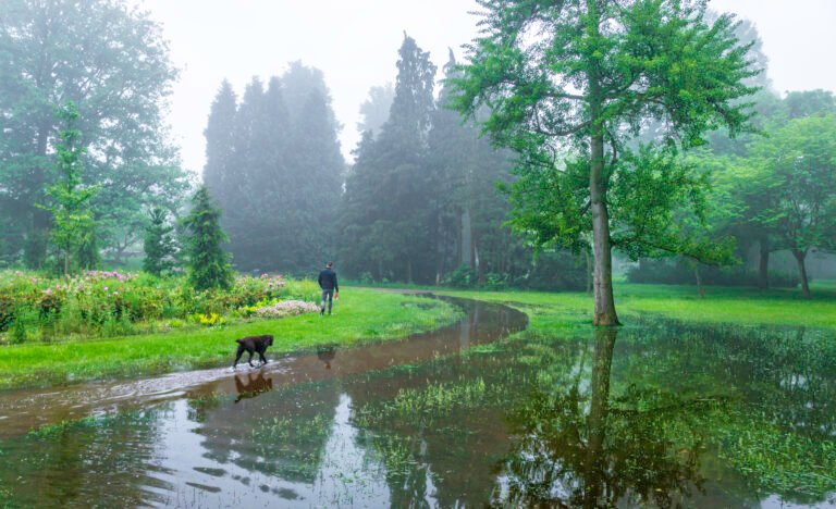 171 After The Rain Stadspark