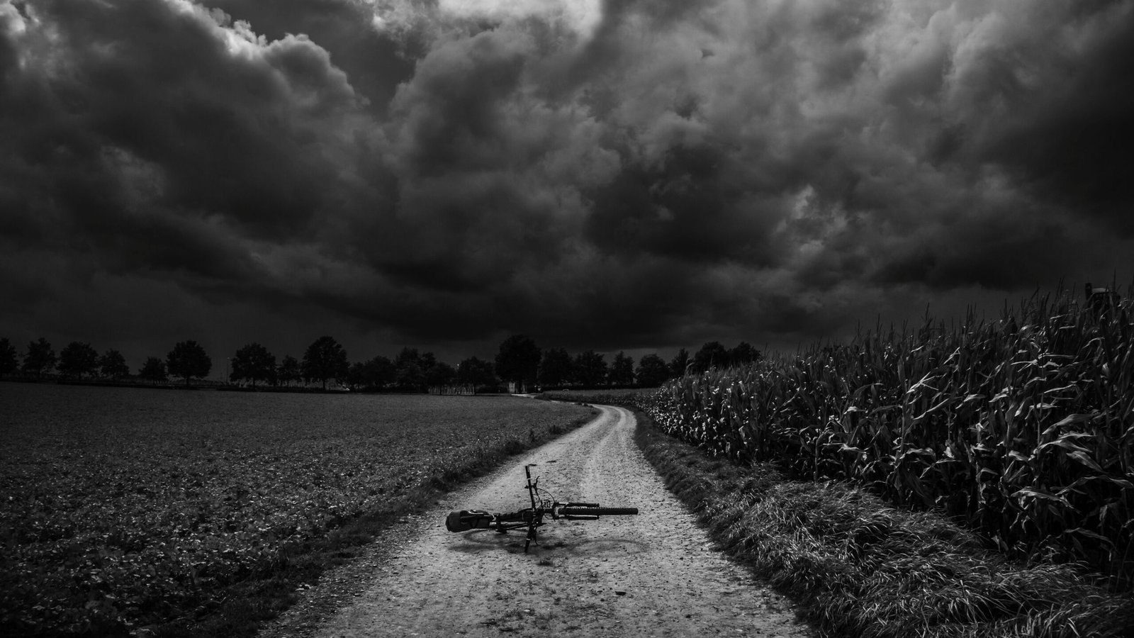 173 Before The Storm