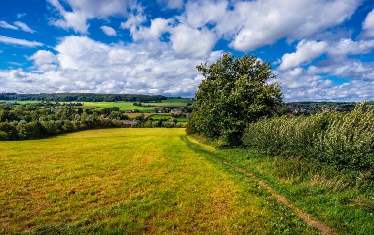 175 Somewhere Close To Vaals