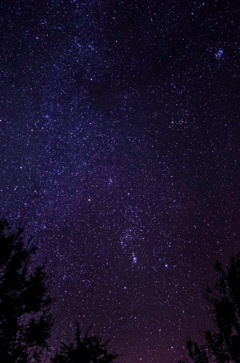 186 Trying To Capture The Night Sky