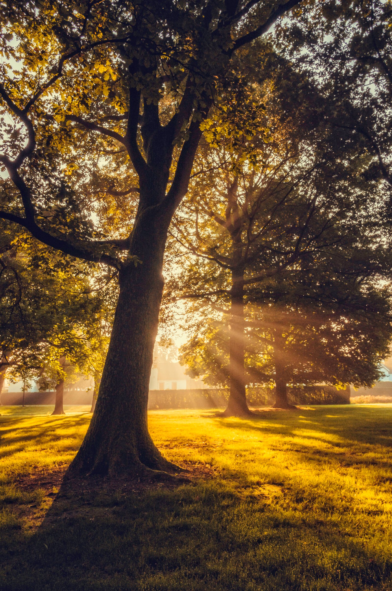194 First Signs Of Autumn